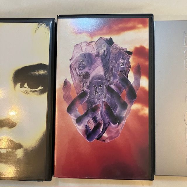 ルナシー LUNA SEA VHS ビデオ 3枚組 - メルカリ