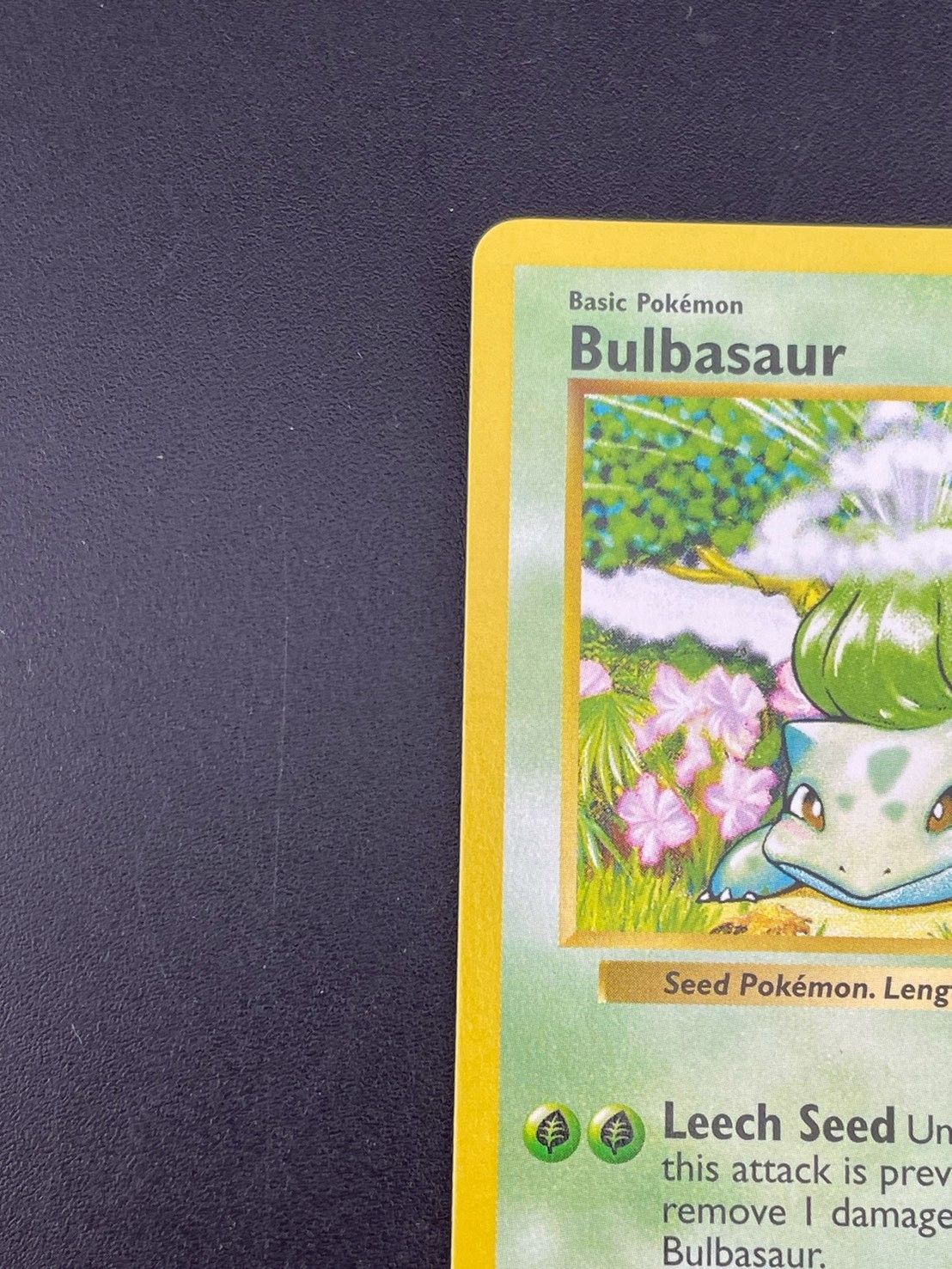 中古品】フシギダネ 44/102 ○ Bulbasaur シャドーレス 英語 英語版 旧
