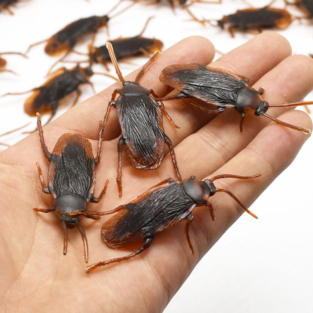ゴキブリ おもちゃ 12個入り ハロウィン ドッキリ ジョーク 虫P_3 
