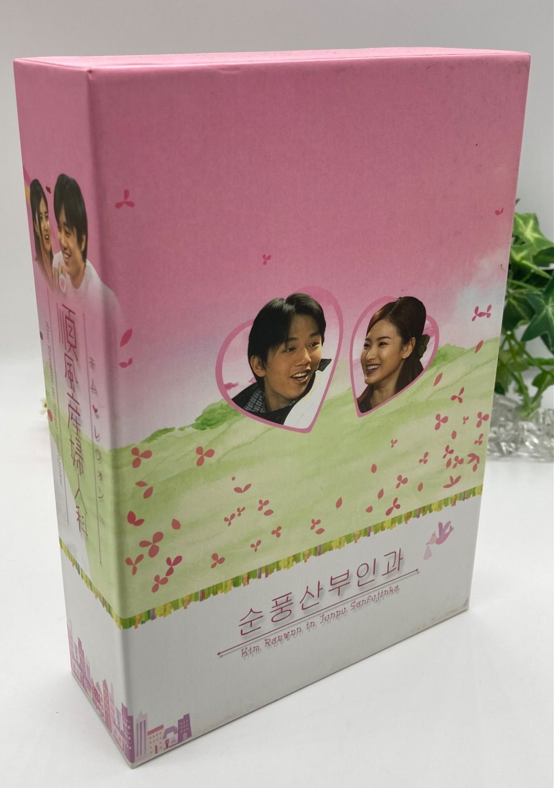 キム・レウォンin順風産婦人科 DVD-BOX〈6枚組〉 - メルカリ