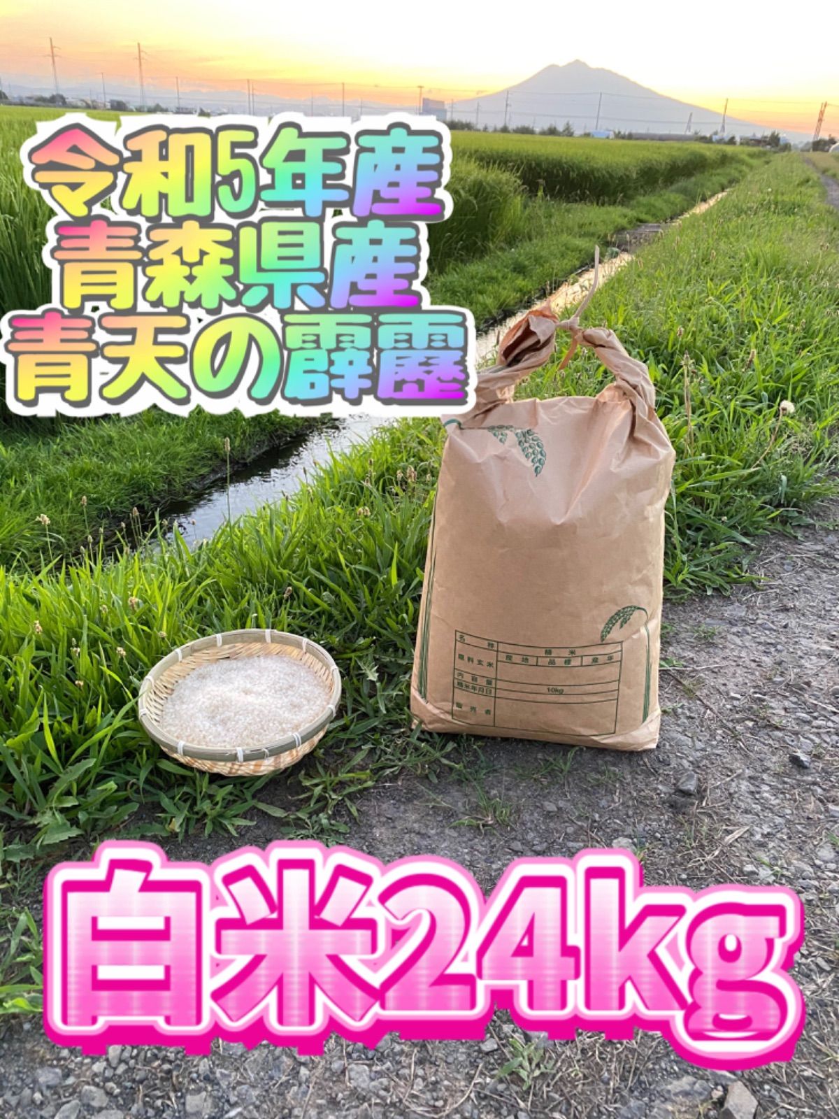 令和5年度産❗️青森県産 最高峰ブランド米「青天の霹靂」24キロ白米 - メルカリ