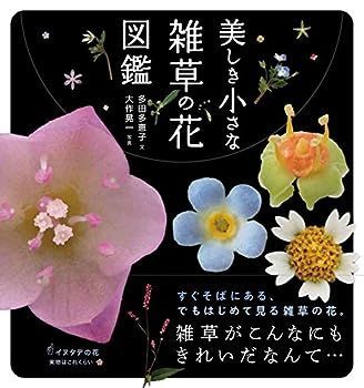 【中古】美しき小さな雑草の花図鑑