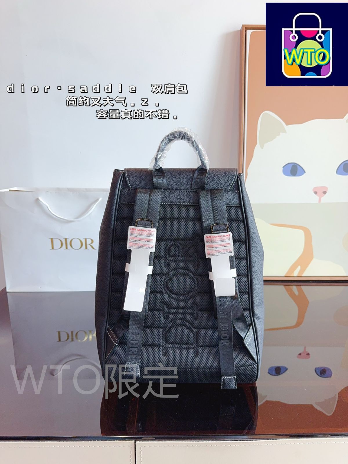 ディオールのショルダーバッグ、すなわちハンドバッグのバッグ