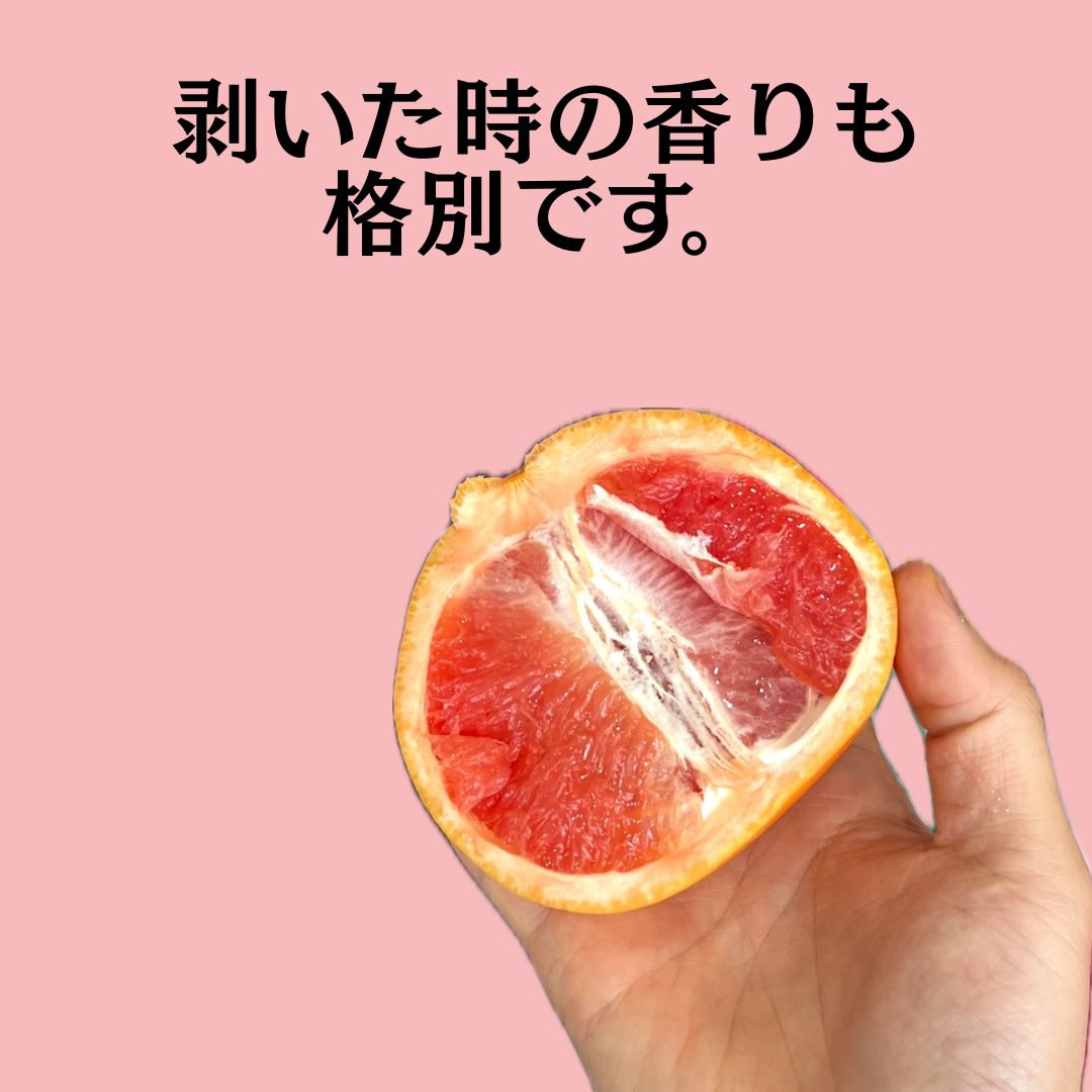 高知県産グレープフルーツ約4kg