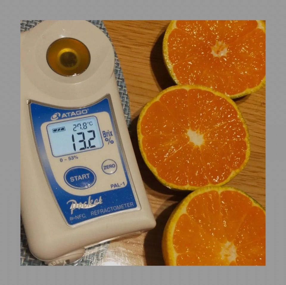 有田みかん　由良ゆらら【小玉】2kg（箱込) 60-1