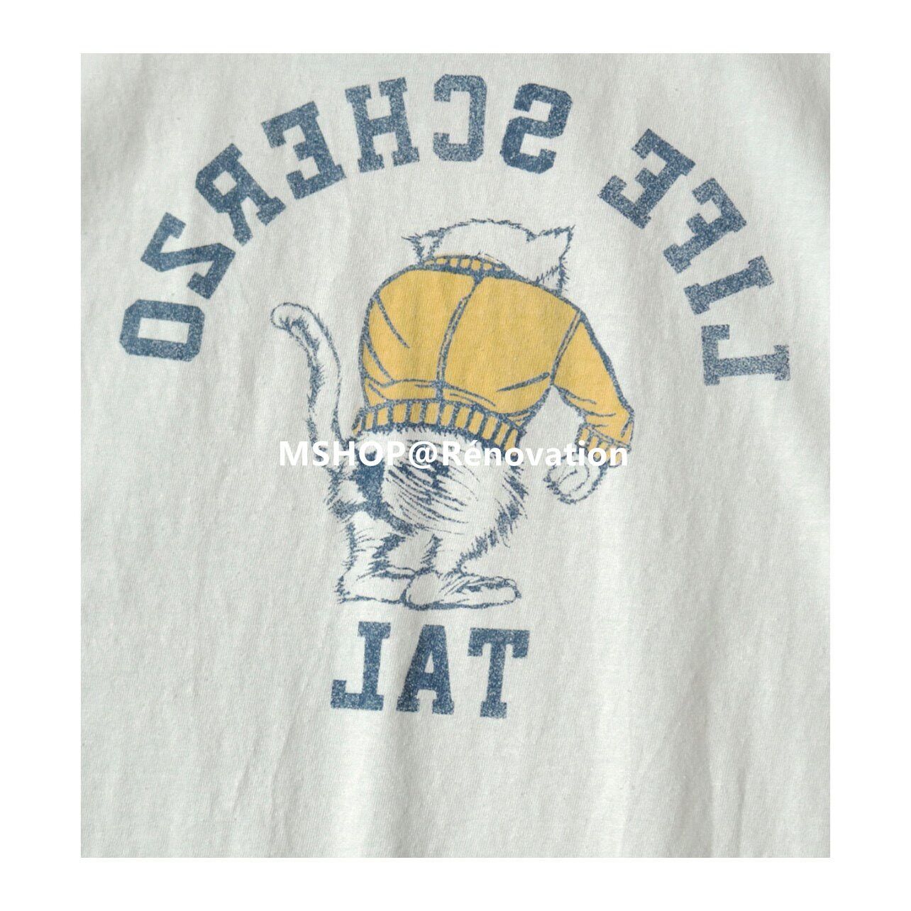 カレッジCATPITALpt