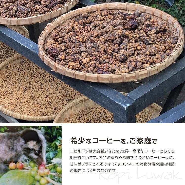 インドネシア産 ガヨ コピルアク 豆 100g - 酒