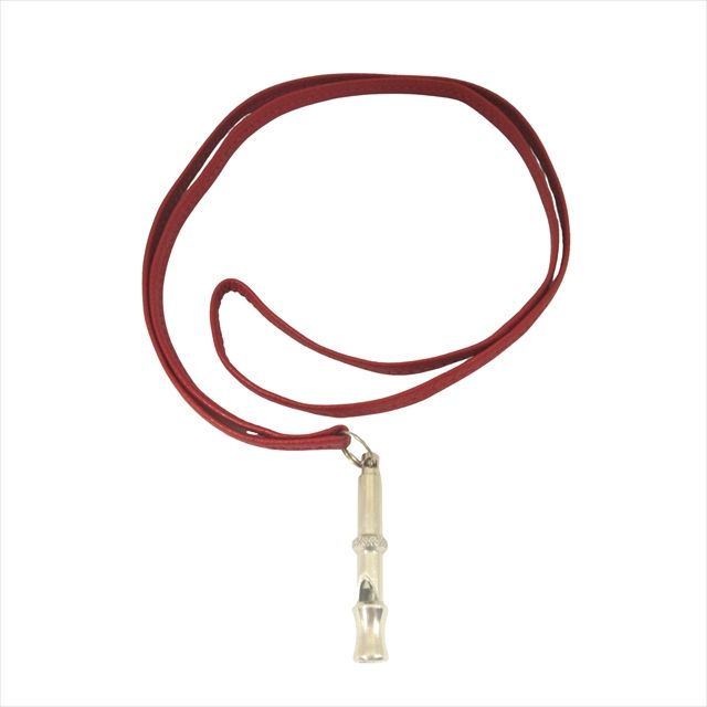 エルメス ホイッスル レザーネックレス HERMES - □美品□ エルメス シフレ ホイッスル ネックレス