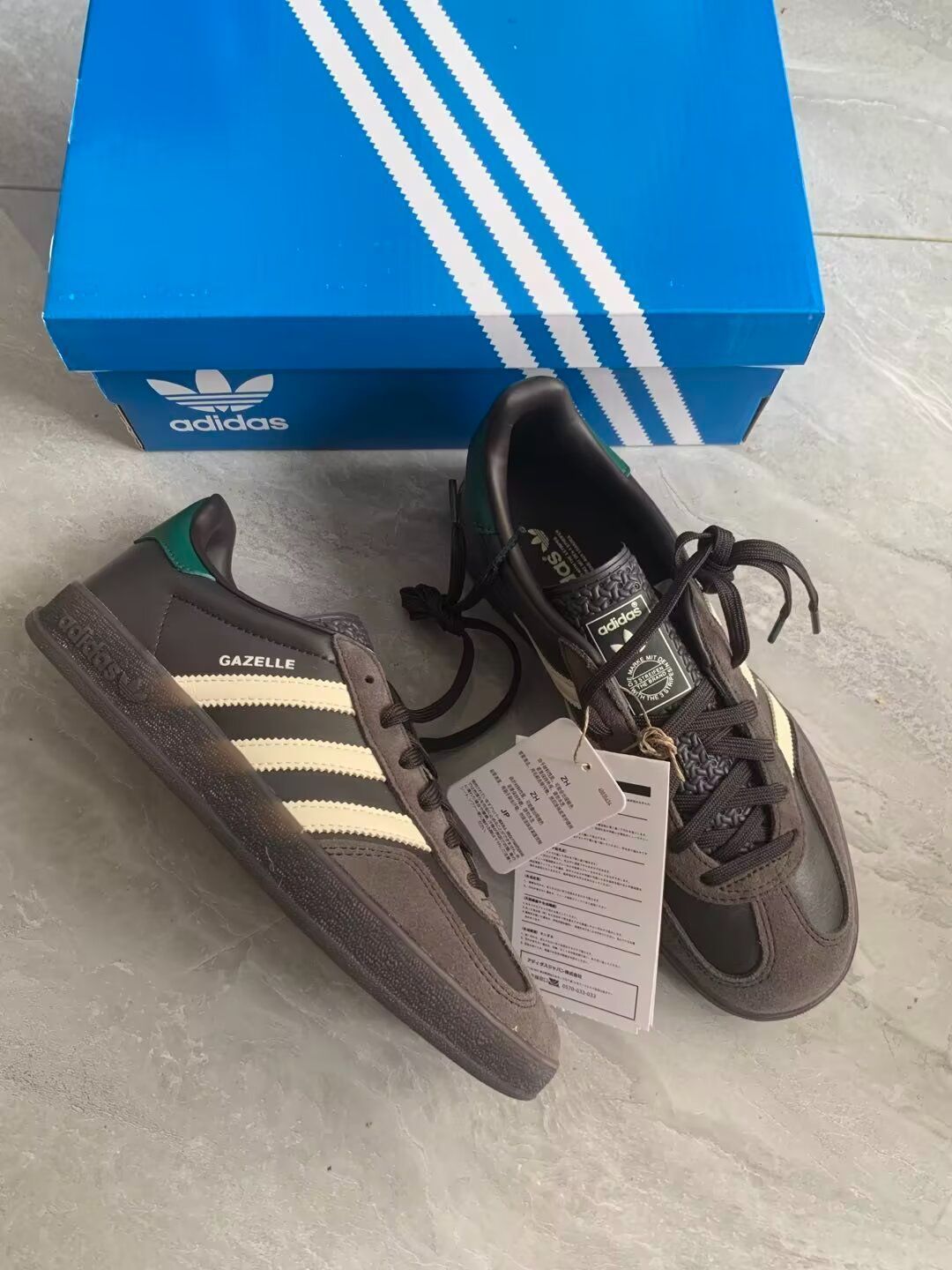 GAZELLE INDOOR