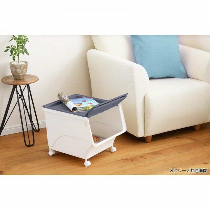 インドネシア 吉野家限定 ONE PIECEコラボどんぶり 赤/黄セット