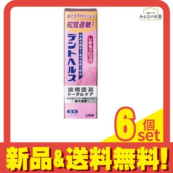 デントヘルス 薬用ハミガキ しみるブロック 85g 6個セット まとめ売り