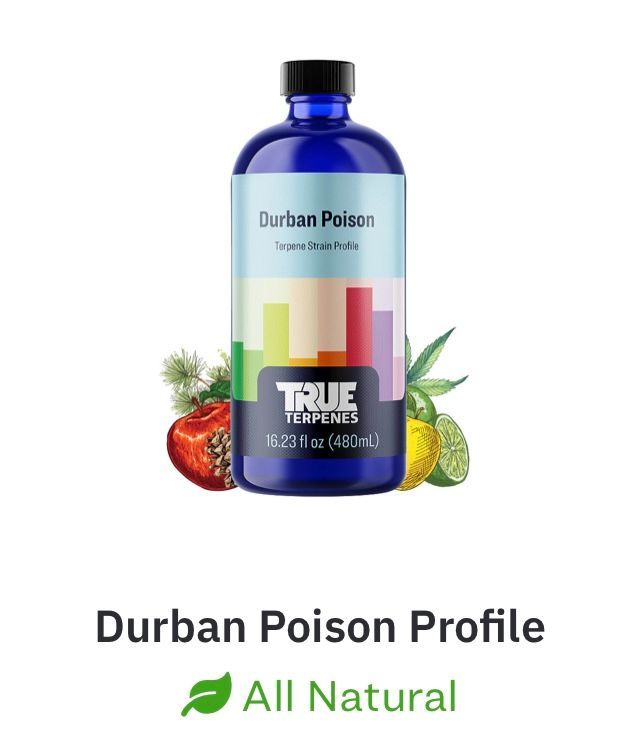 TRUE テルペン 香料 CBD CBN 10ml ブルーベリークッキーズ