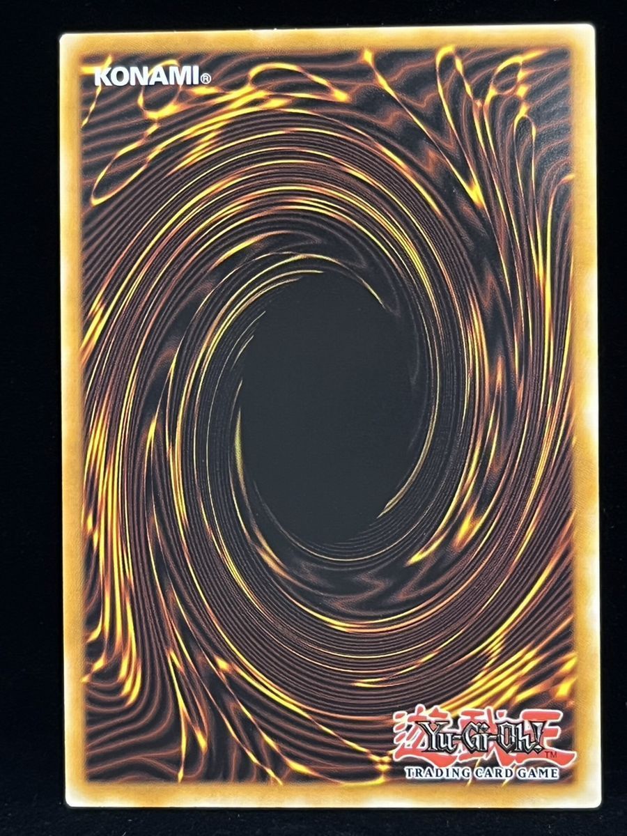 遊戯王 英語 北米版 破壊竜ガンドラG 25thシークレット 1st