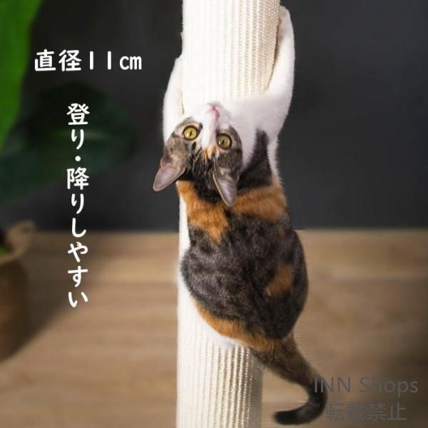 登り