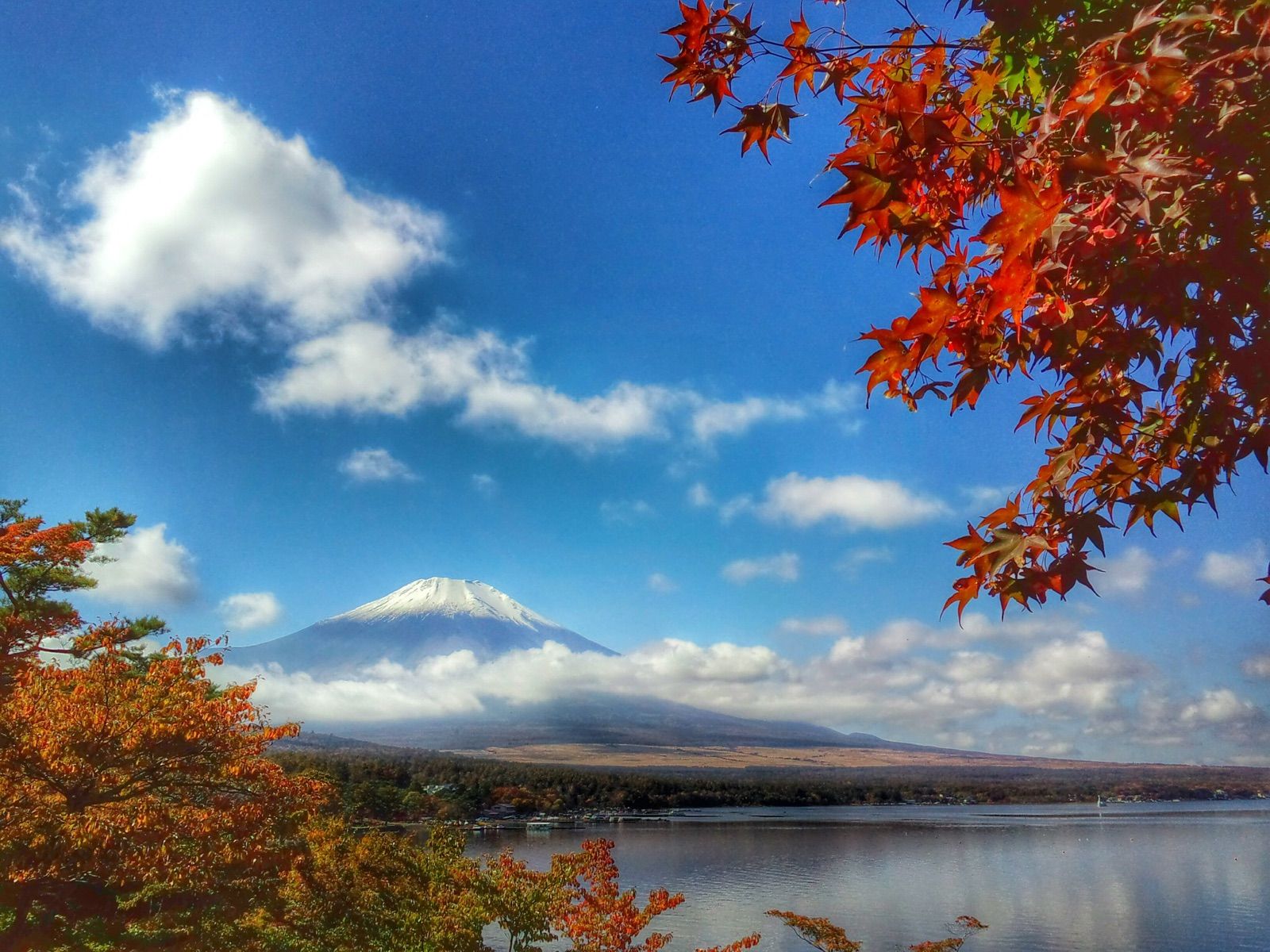 発売モデル 世界遺産 富士山とチューリップ畑 写真 A4又は2L版 額付き