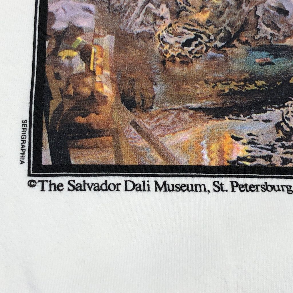 デッドストック 90年代 USA製 Salvador Dali サルバドール・ダリ 幻覚