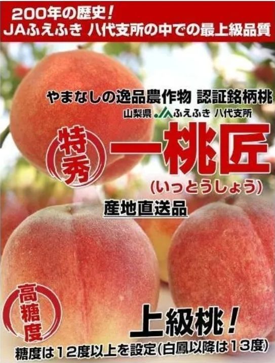 絶品 山梨産 ふえふき 高糖度 白桃【八代の桃 一桃匠】一箱5~6玉 
