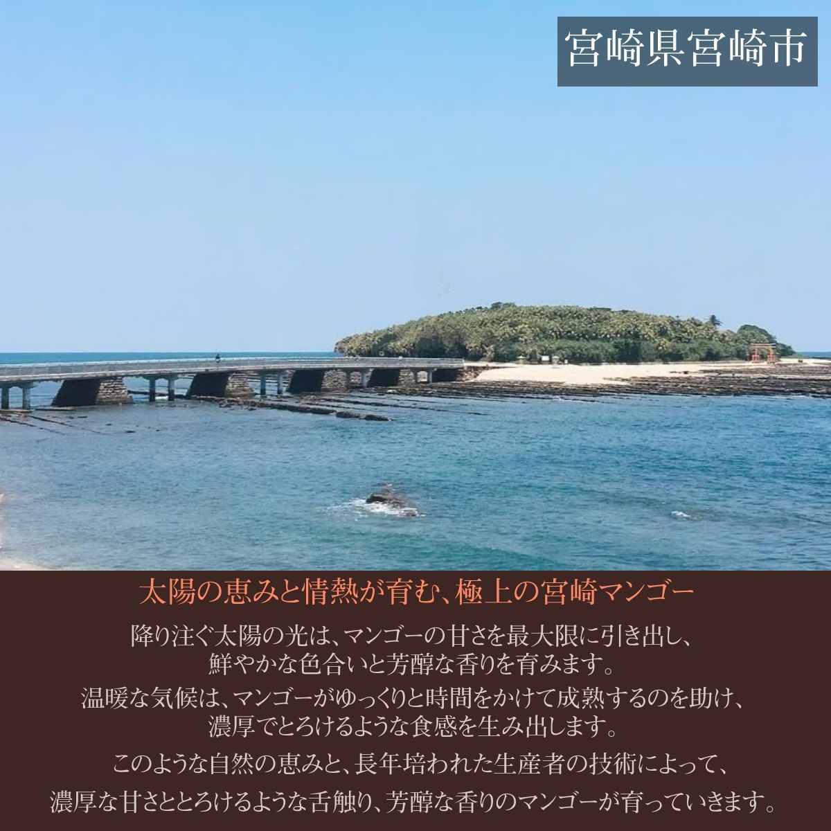 3L 2個