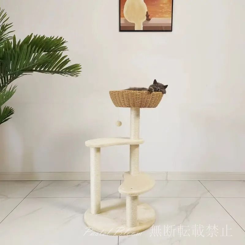 犬服