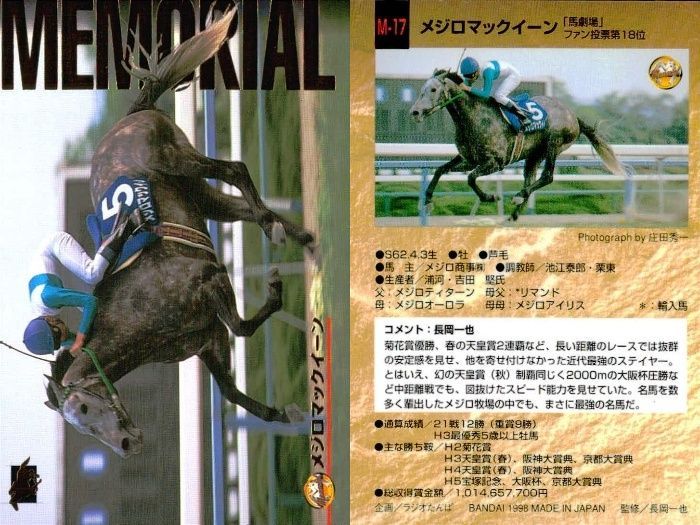 競馬カード THE CLASSIC fantasy メジロマックイーン 競馬カード THE CLASSIC fantasy メジロマックイーン 競馬カード