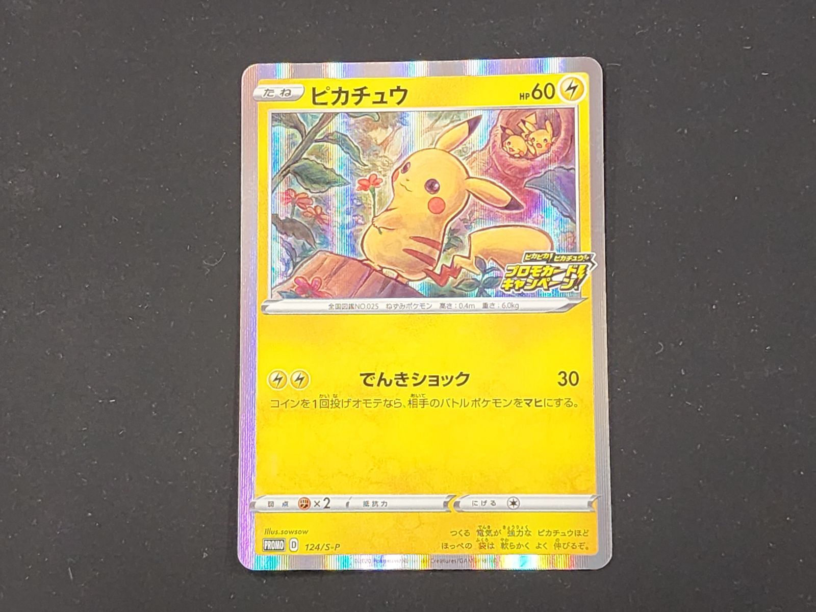 ポケモン - pcg 124 easta_1402101136