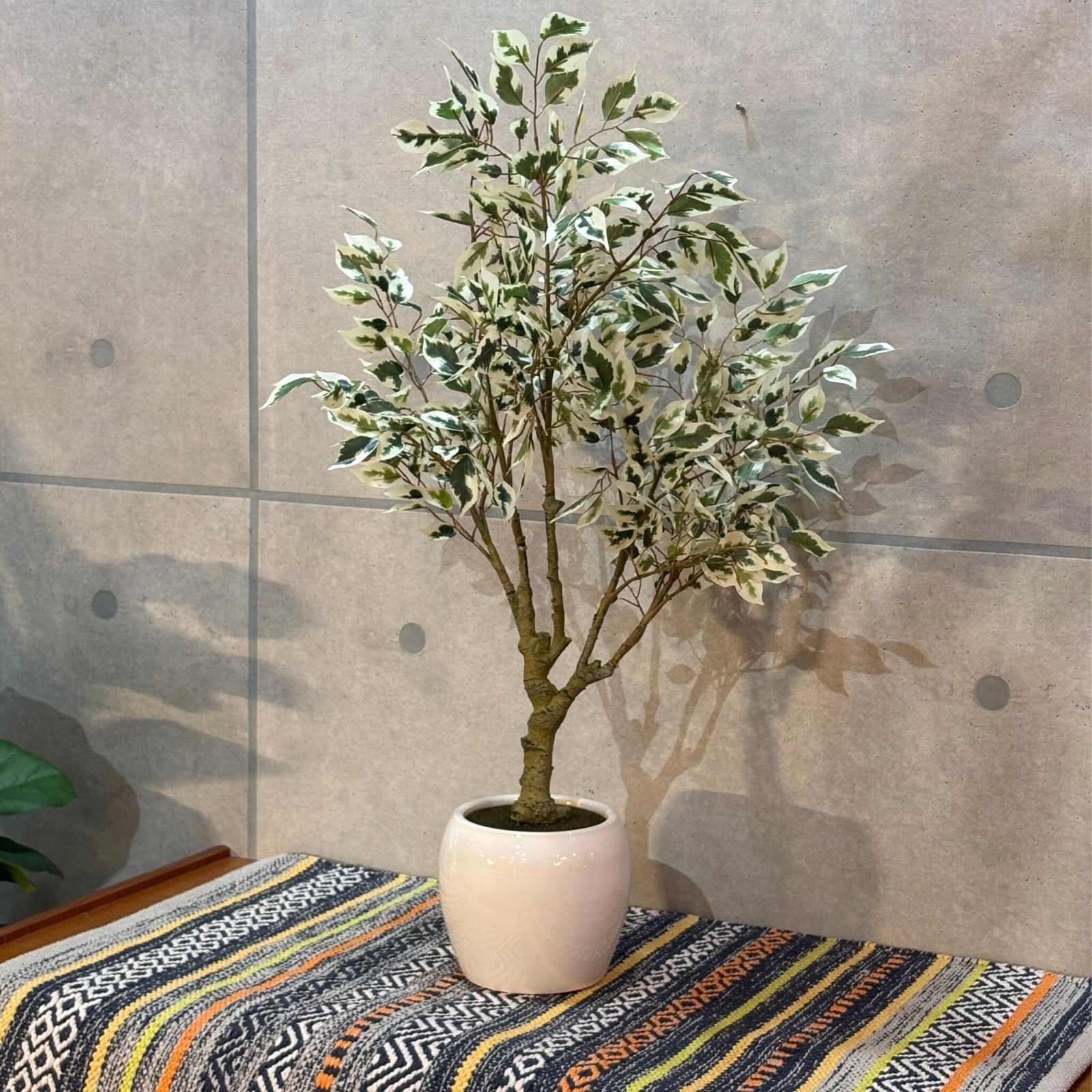 新品】フェイクグリーン フィカス ショップ H75 斑入り | 光触媒加工