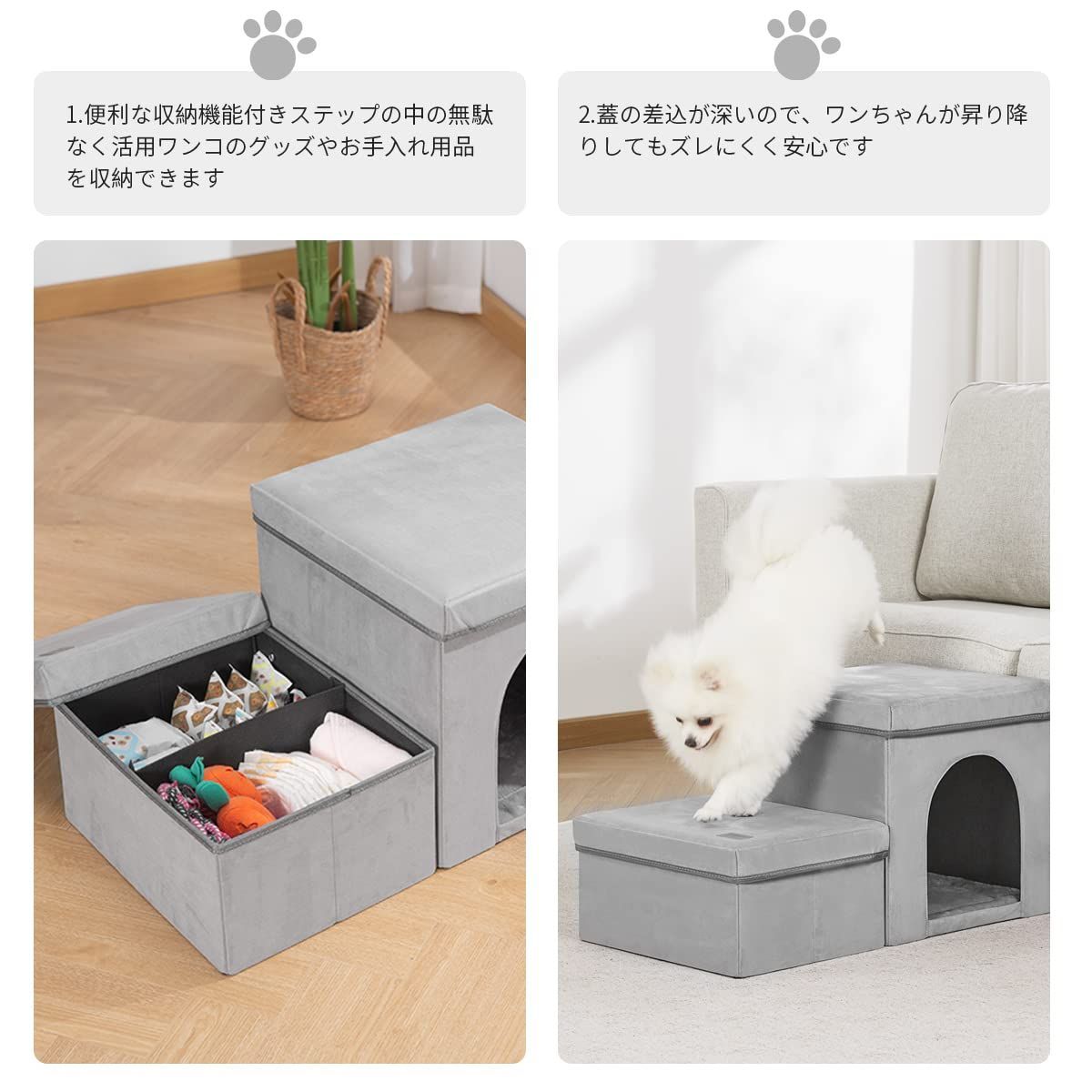 シニア犬 高齢犬