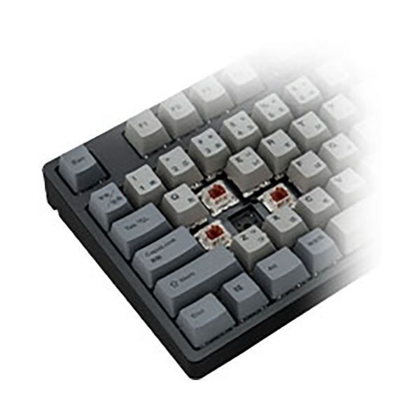 プリンストンiKBC製 JIS配列 91キー メカニカルキーボード 茶軸タクタイル IK-CD87-G BR-BK 1台
