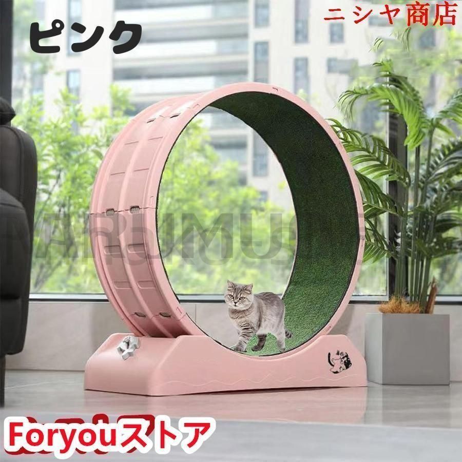 キャットホイール