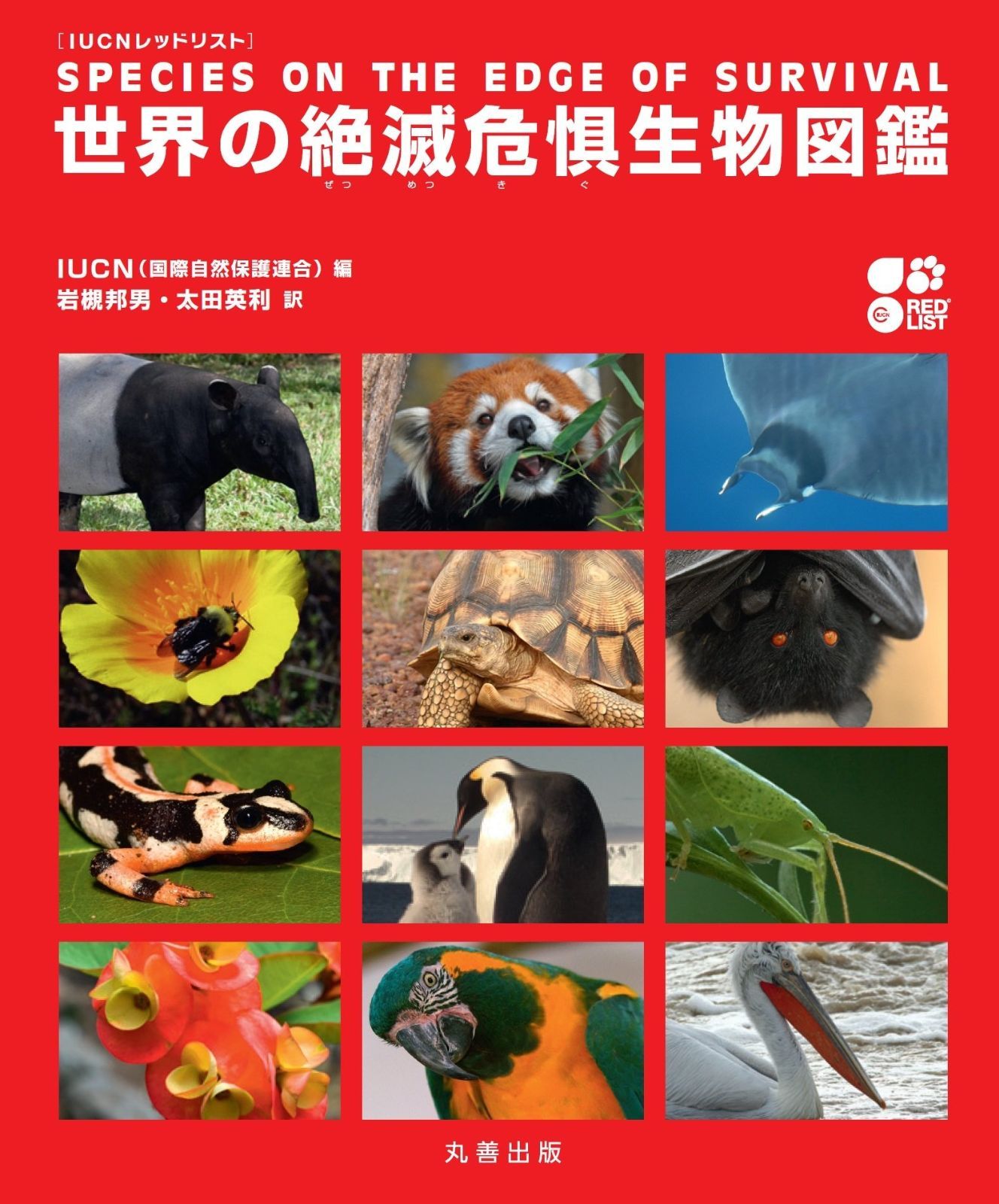 格安，HOT IUCN レッドリスト 世界の絶滅危惧生物図鑑 その他