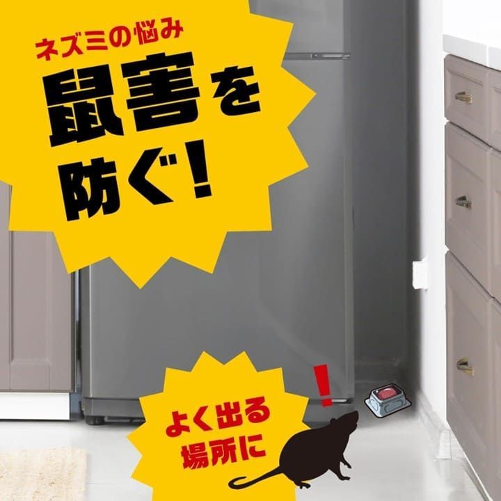 天井裏
