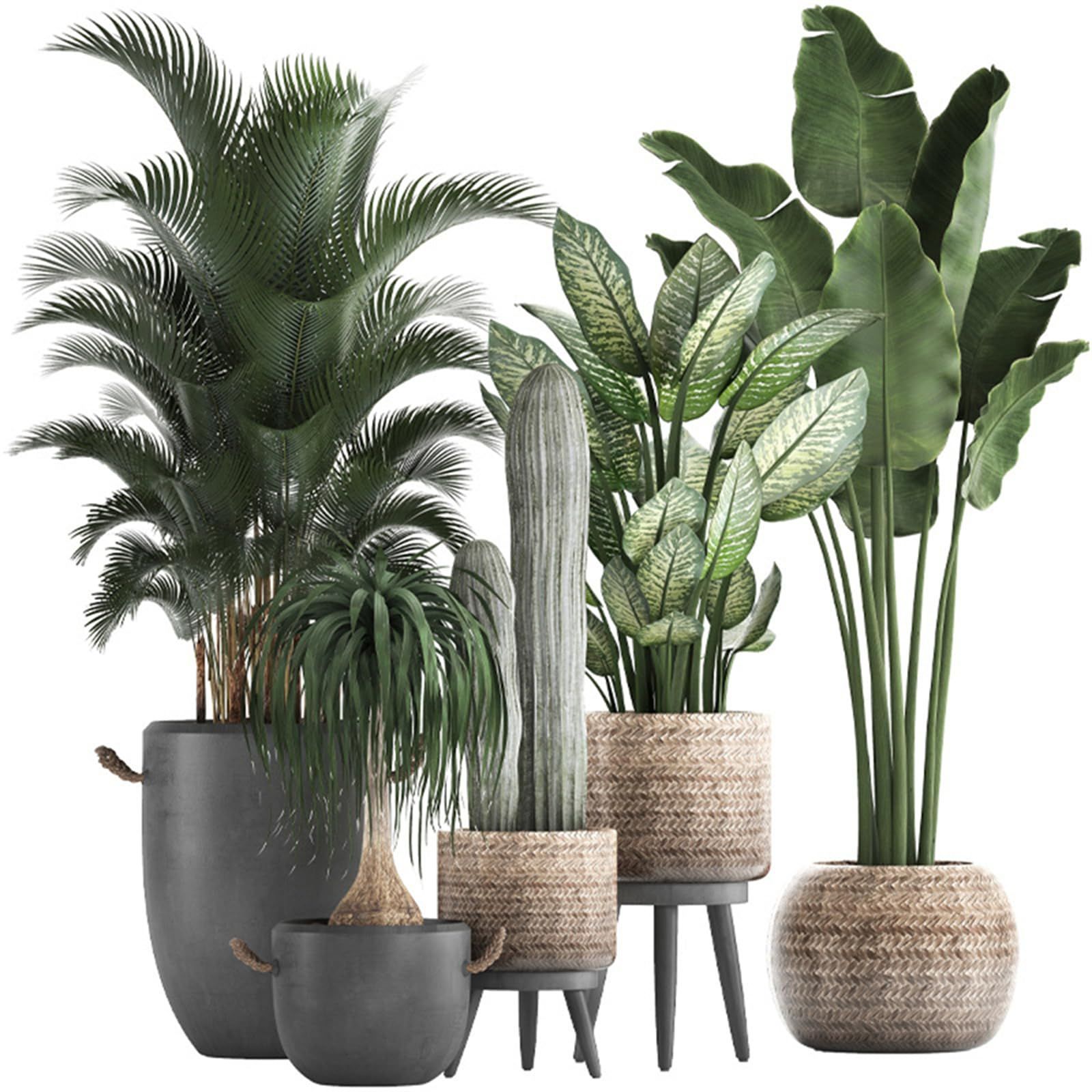 数量 リビングルーム 大きい ベッドルーム 壁すてっかー ウォールシール トロピカル 北欧 おしゃれ plant はがせる 壁紙シール 景色 wall 緑 鉢植え グリーン stickers ウォールステッカー観葉植物 Condessacity