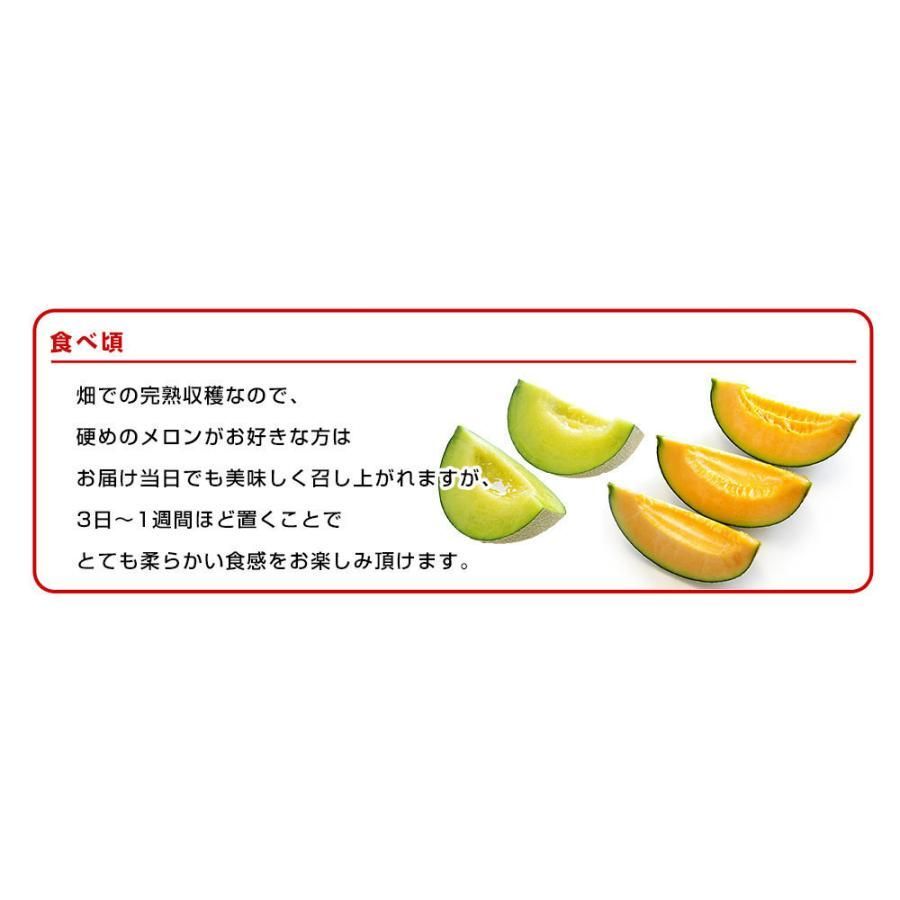 茨城県産 JA茨城旭村 アンデスメロン＆クインシーメロン 秀品 2