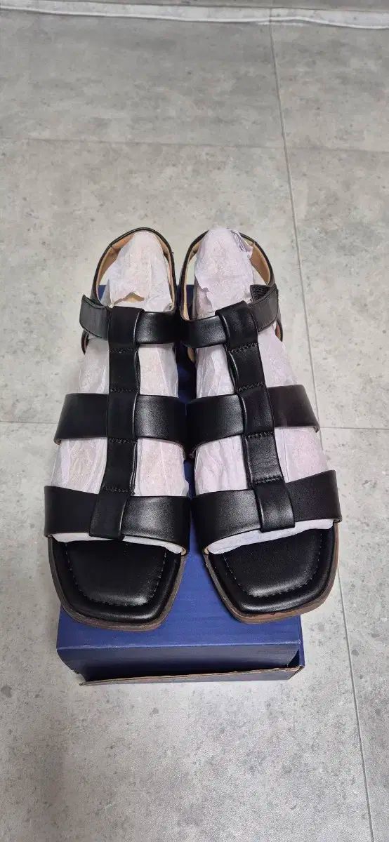 【限定Sale】即納！ロックポートシューズ 上履き