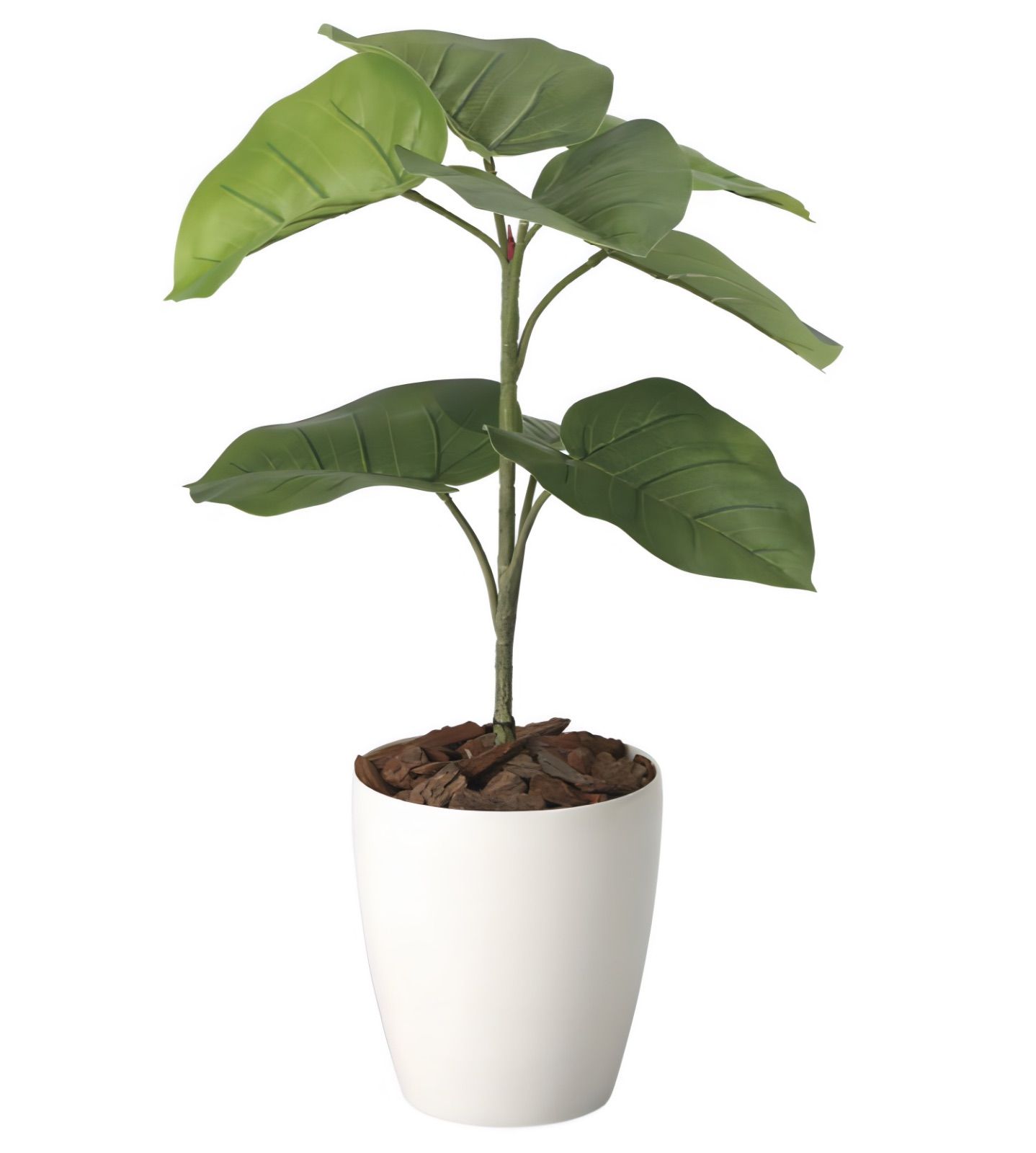 光触媒 人工観葉植物 ウォールグリーン フェイクグリーン ウンベラータ