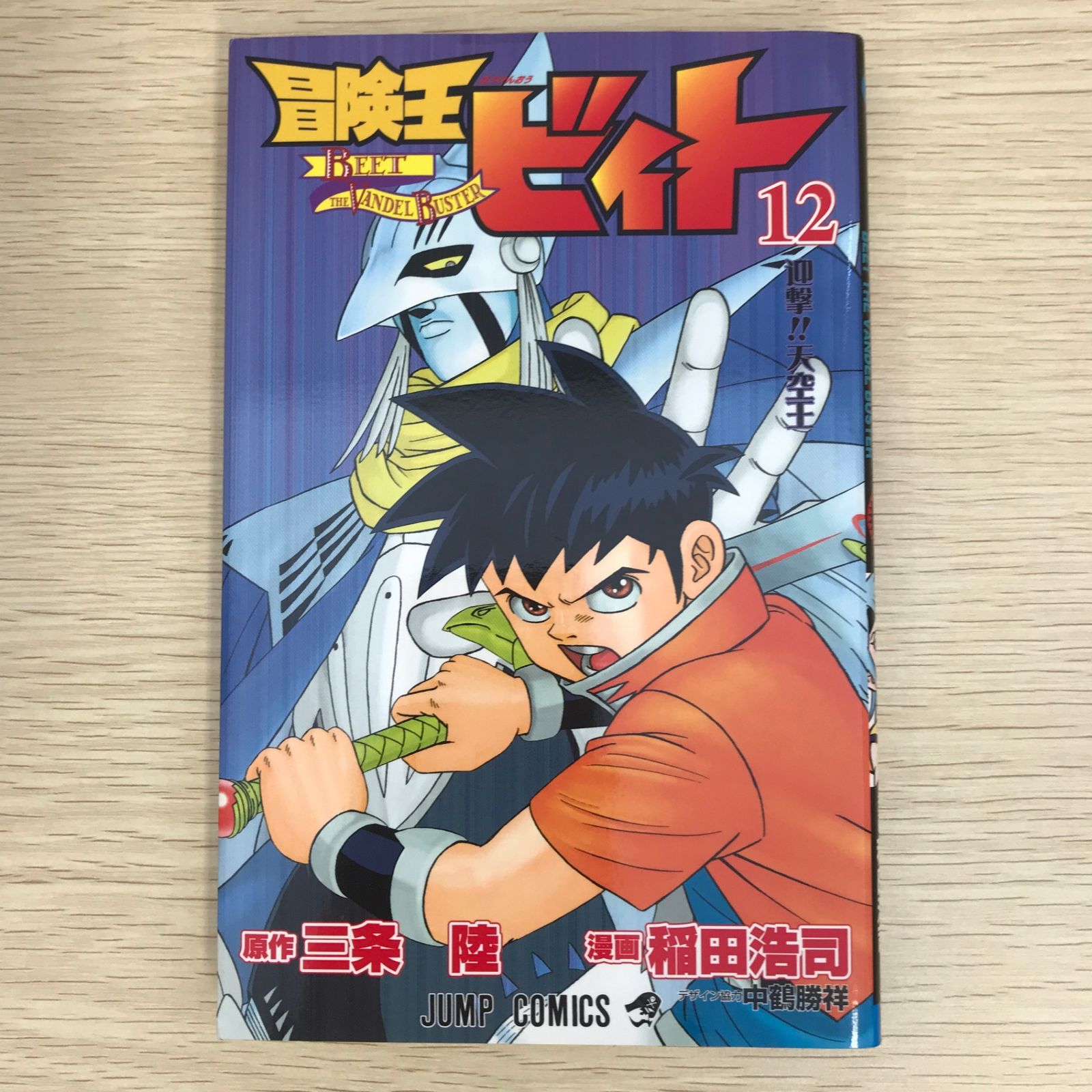 初版】冒険王ビィト 12巻/【作者】三条陸・稲田浩司/GF-0225010919-YP