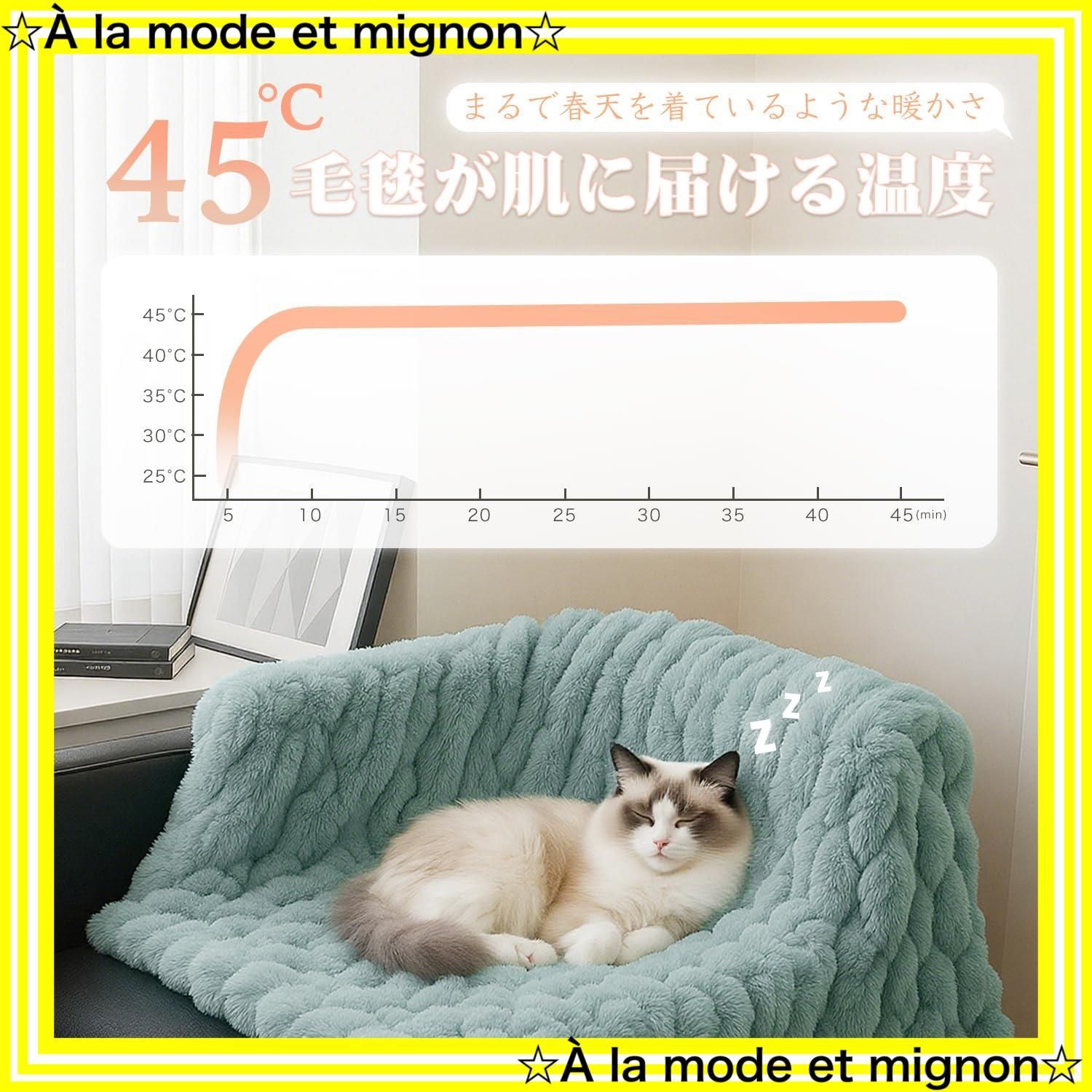 省エネ 切タイマー