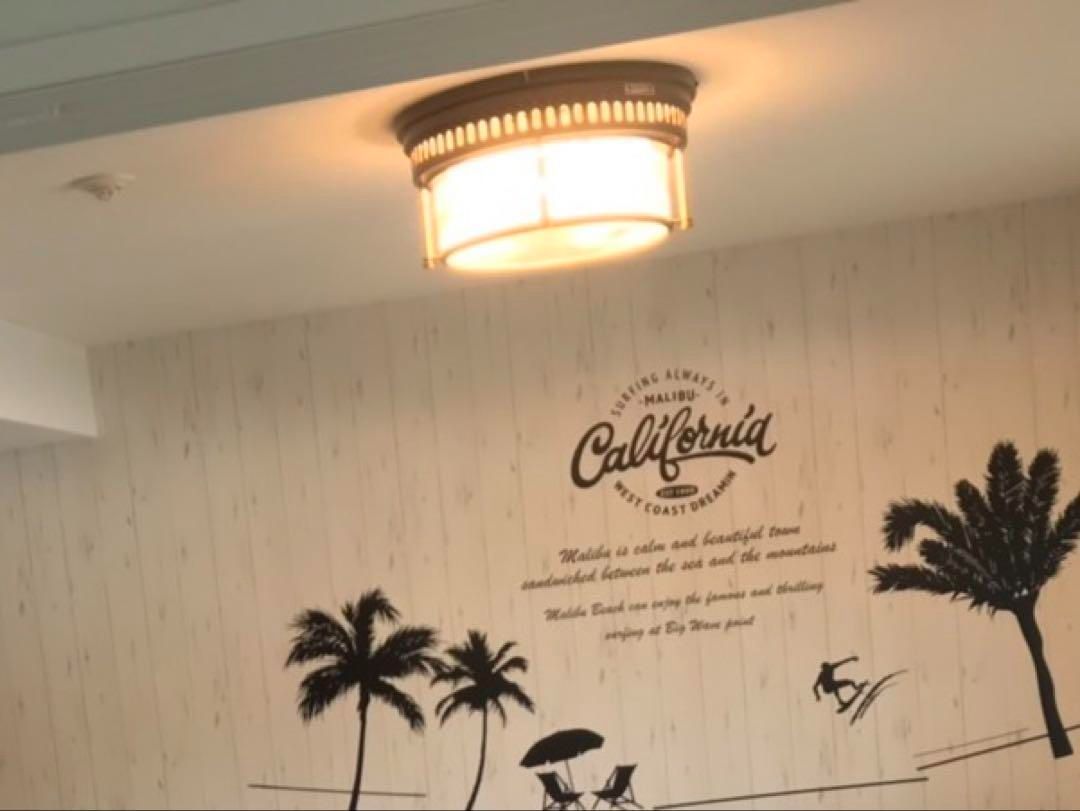 ジャーナルスタンダードファニチァー ウィンチェスターシーリング