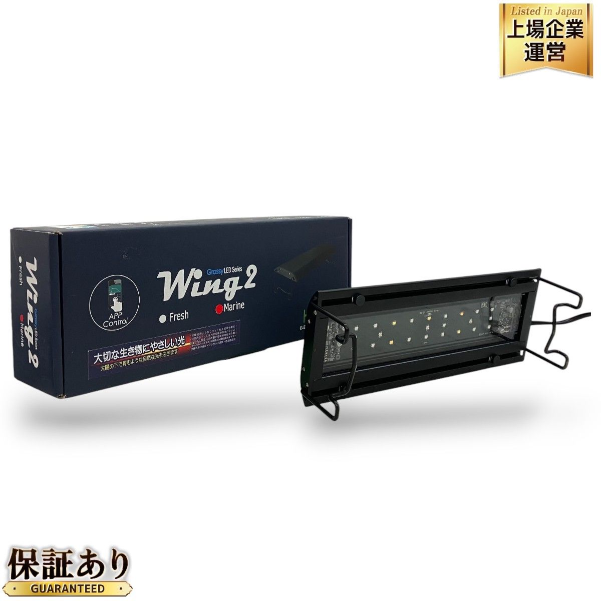 Grassy Wing2 60 グラッシー・ウィング2（Grassy Wing2 60 Marin