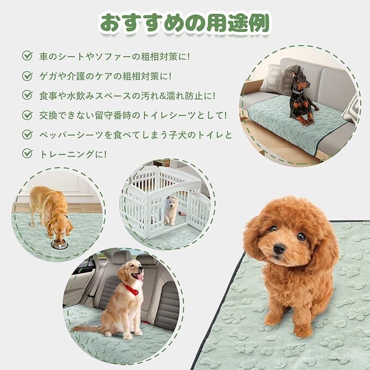 犬 猫
