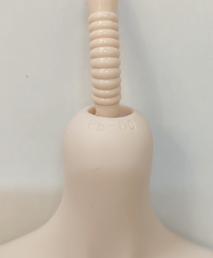 ドルフィードリーム