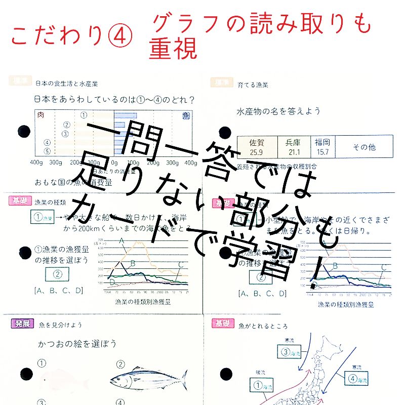 中学受験 極める地理カード フルセット8冊 暗記カード 中学入試 - メルカリ