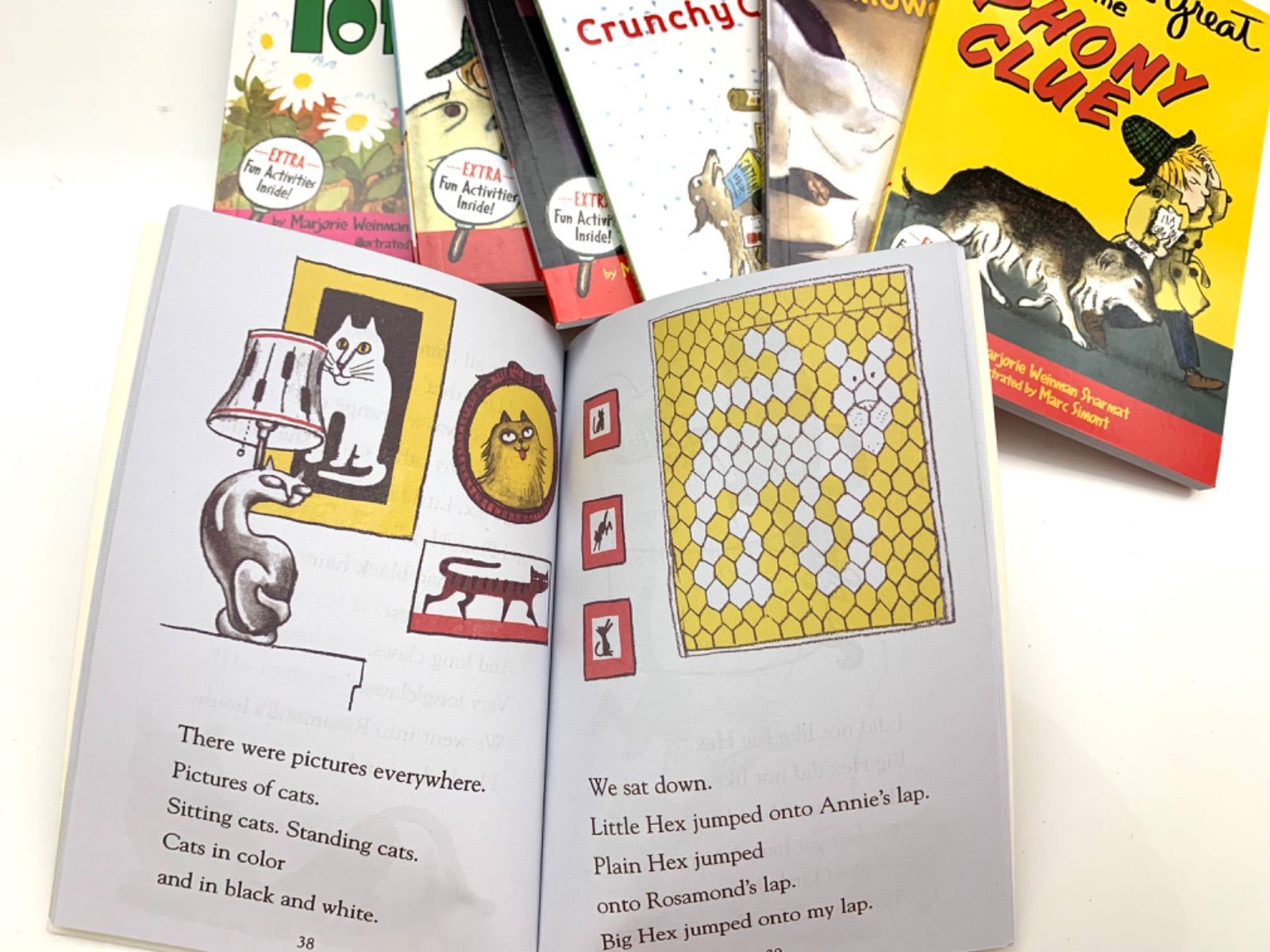 Nate The Great絵本30冊　全冊音源付マイヤペン対応高品質新品箱付 Nate The Great 絵本30冊 全冊音源付 マイヤペン対応 高品質