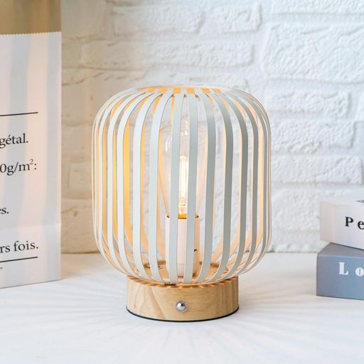 ステンレス着生バスケット 着生板 ビカクシダ