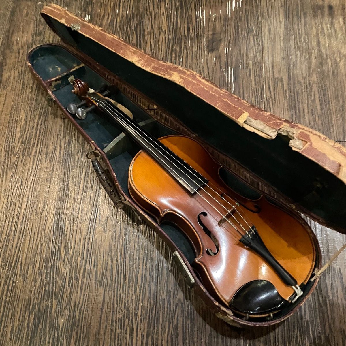 ✨スズキ No.280 1/2サイズ 分数バイオリン 初心者 中級者 スズキ