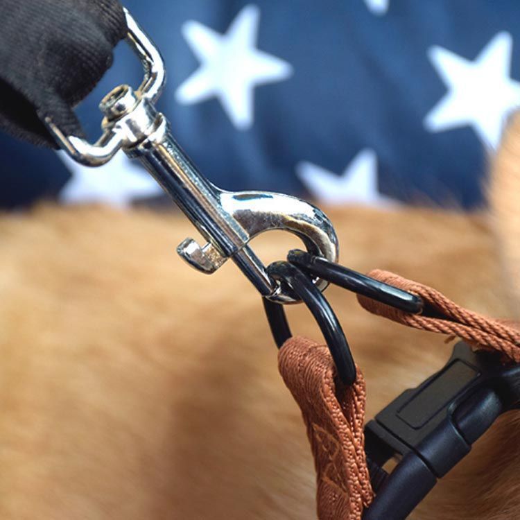 ボックス 洗える