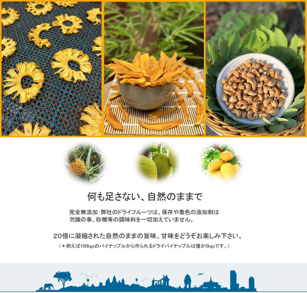 ドライマンゴー 無添加 カンボジア産 砂糖不使用 50g - メルカリ