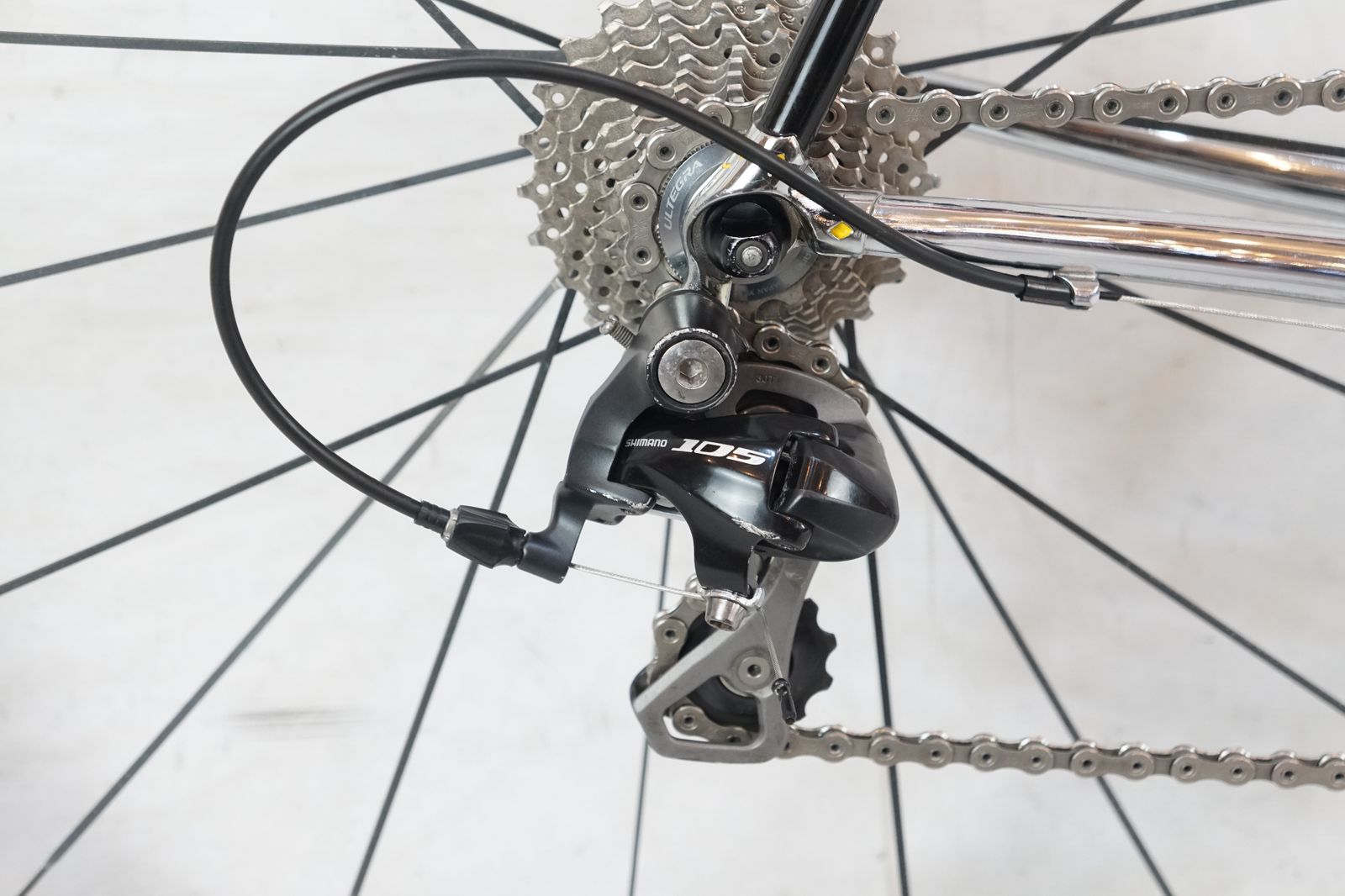 CHERUBIM ケルビム