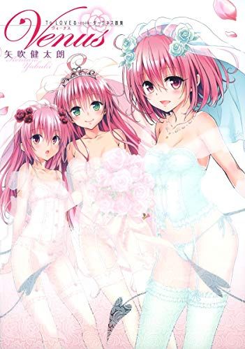 To LOVEる―とらぶる― ダークネス画集 Venus (愛蔵版コミックス)／矢吹 健太朗
