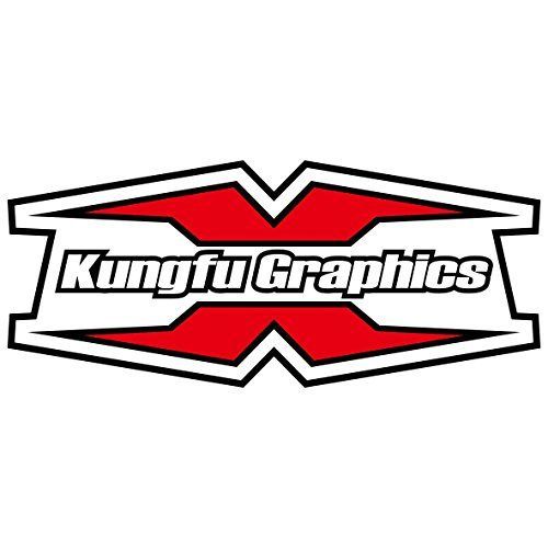 2019-2020 Ninja 250_KTDK3917N008-KO KUNGFU GRAPHICSカンフー